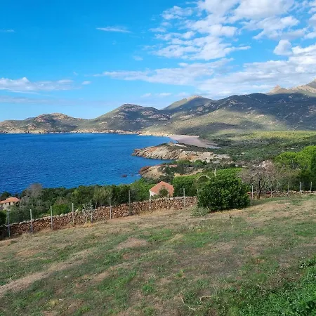 Willa Saint-michel *