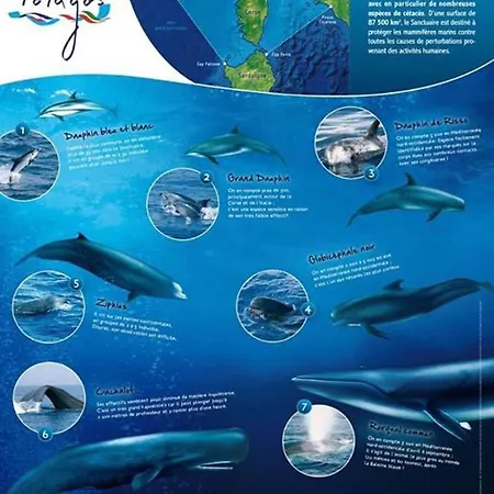 빌라 Saint-michel *