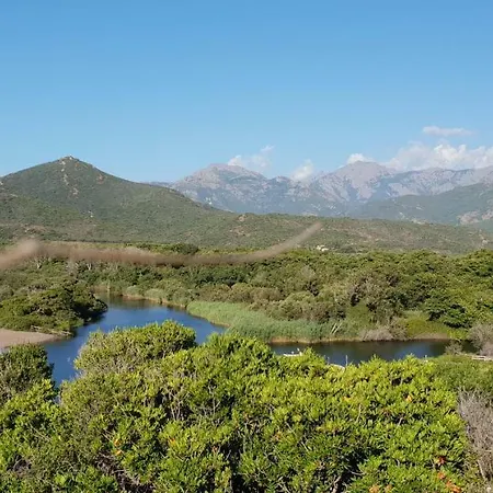 Willa Saint-michel *